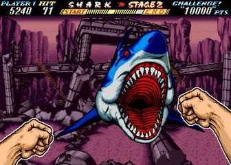 image de The First Funky Fighter